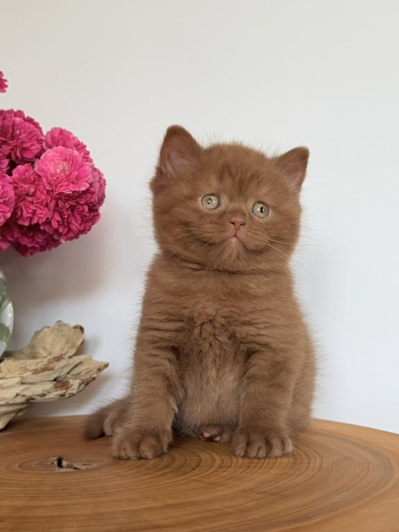 Finn photo 3