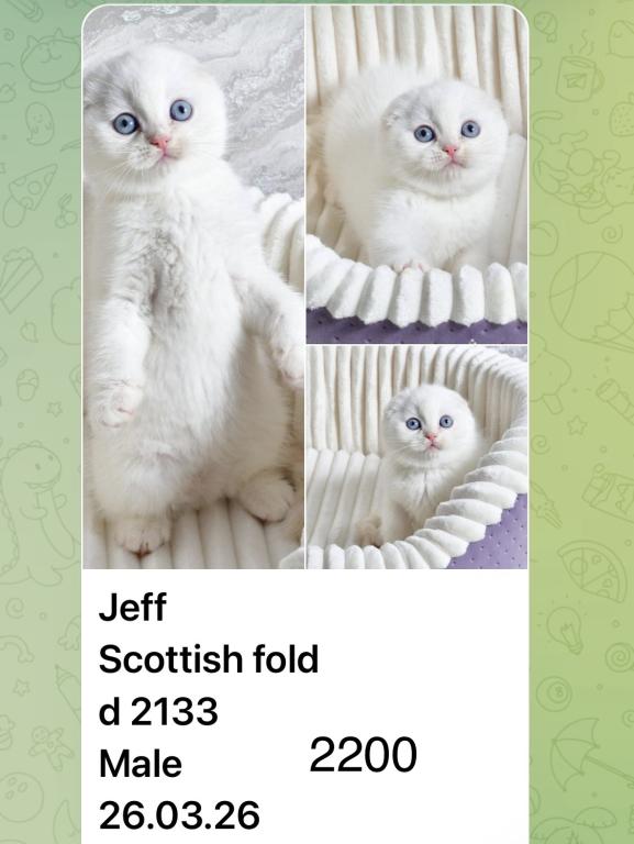 Jeff photo 6