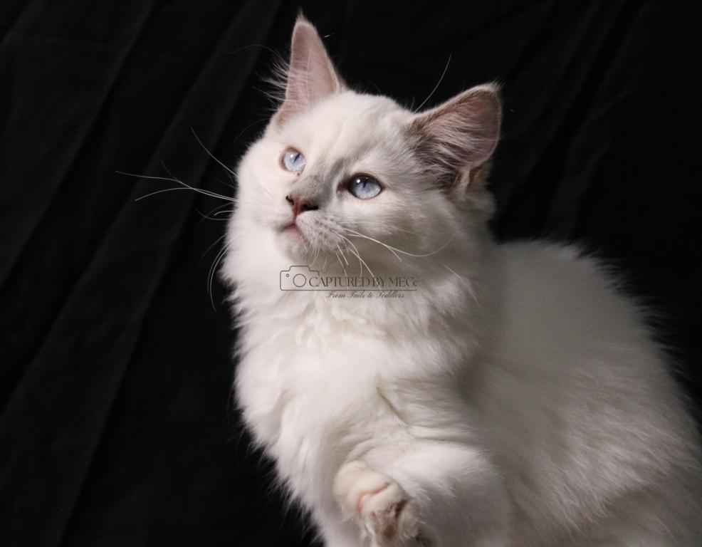 Lady Soleil photo 3