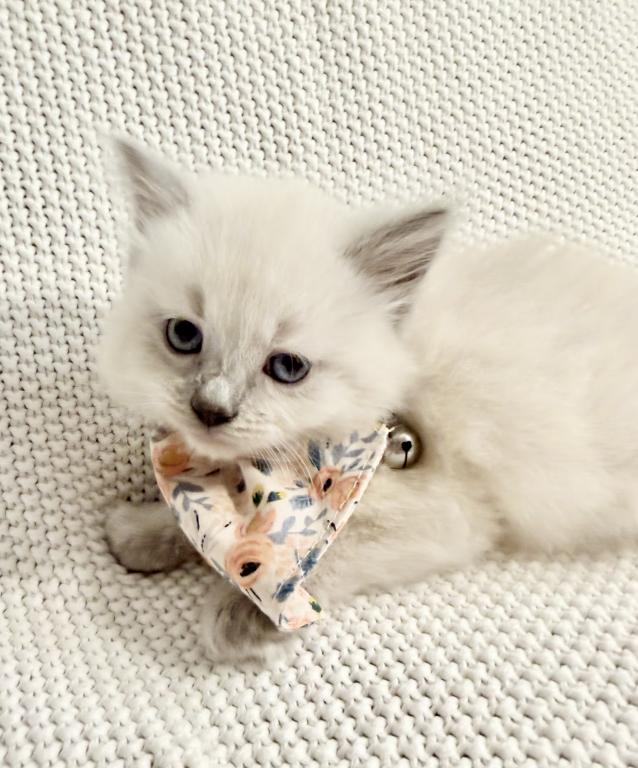 Isabella photo 3