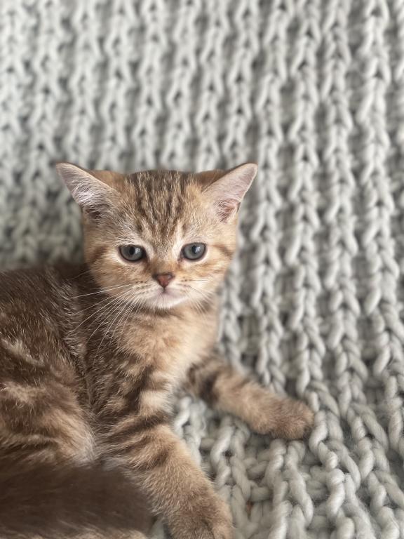 Luna photo 1