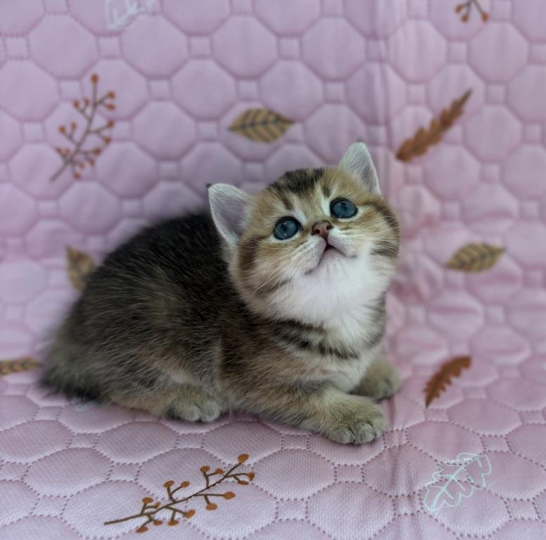 Lord photo 3