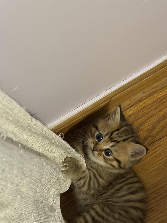 Marty photo 5