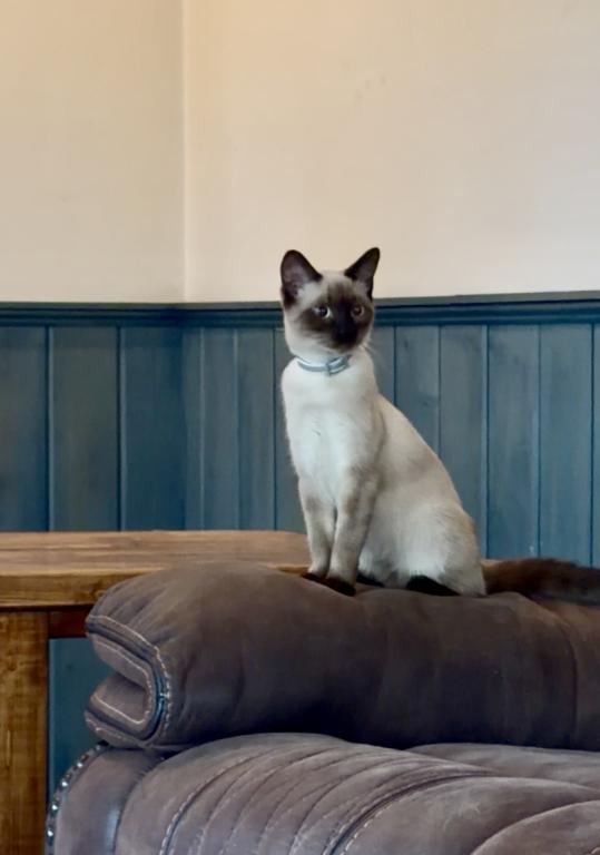LUNA photo 2