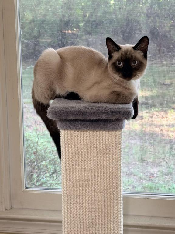 LUNA photo 4
