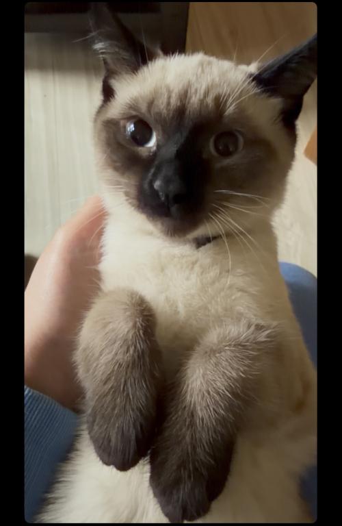 LUNA photo 2