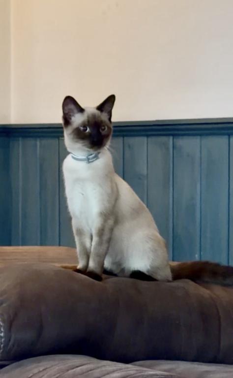 LUNA photo 1