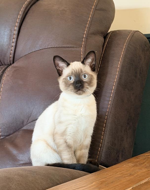 LUNA photo 4