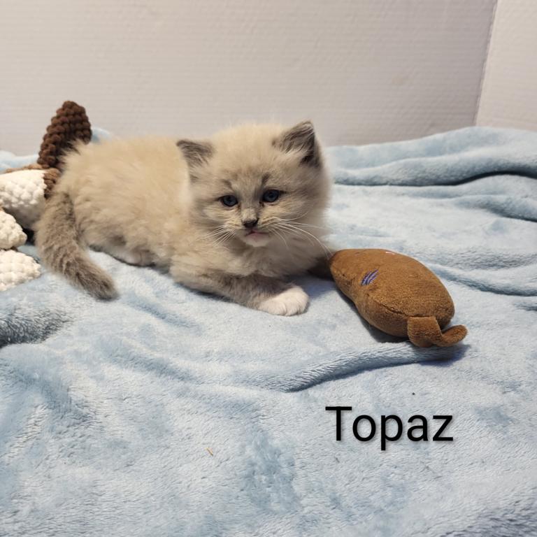 Topaz photo 1