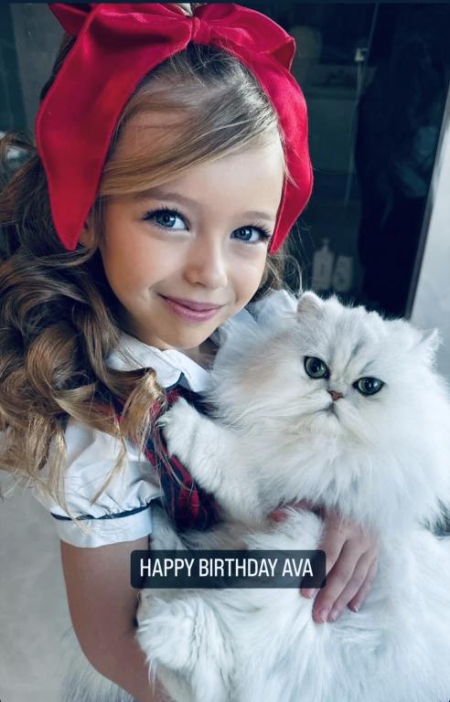 Beautifull Doll Face Chinchilla Silver Persians photo 17