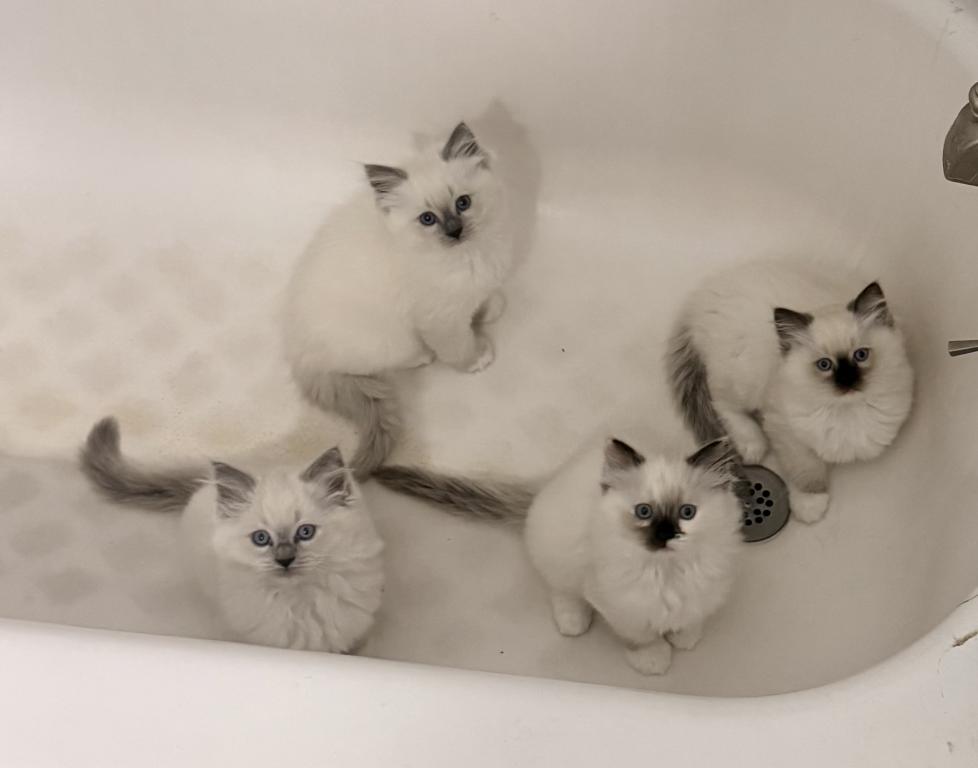 Cute photo 5