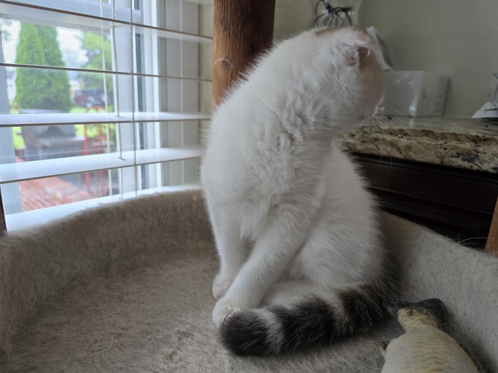Max photo 36
