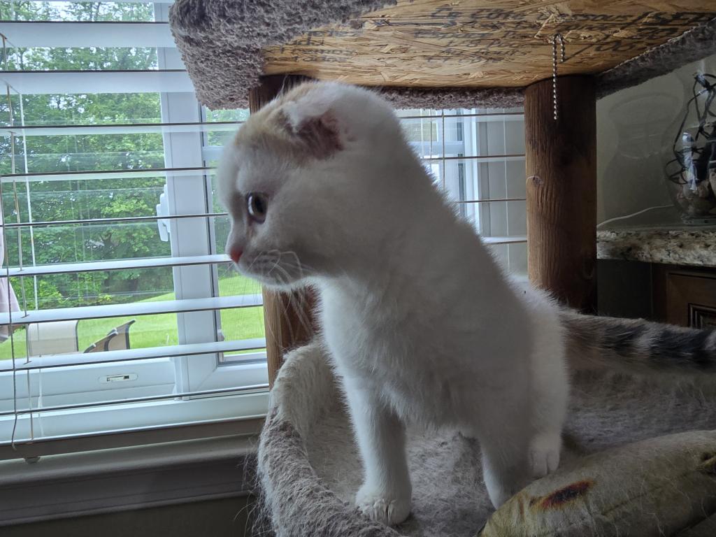 Max photo 15