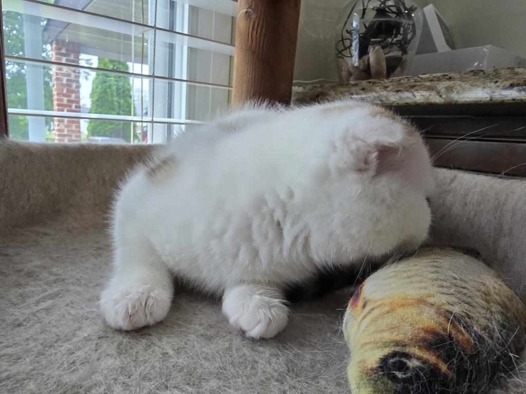 Max photo 37