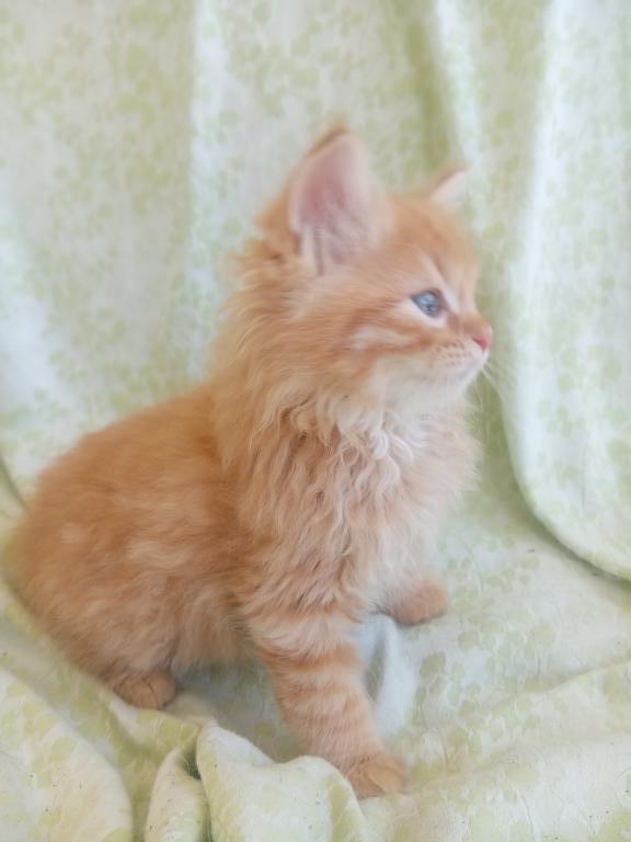 Titus photo 4