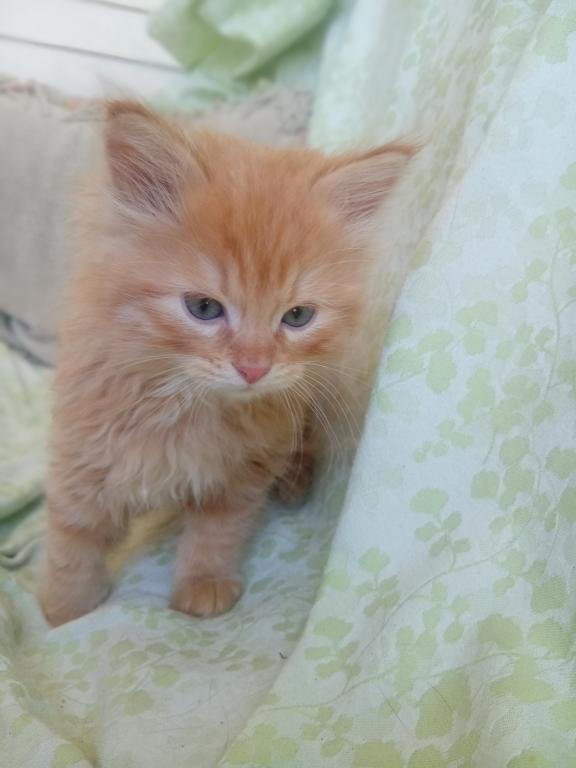 Titus photo 2