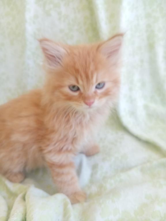 Titus photo 3