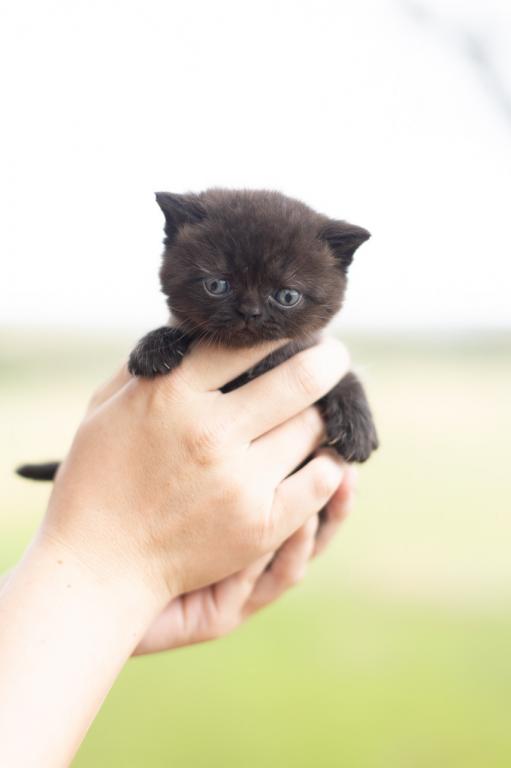 Bea Babies photo 8