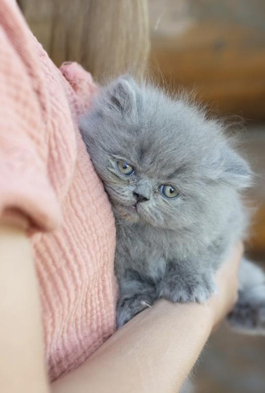 Bea Babies photo 4