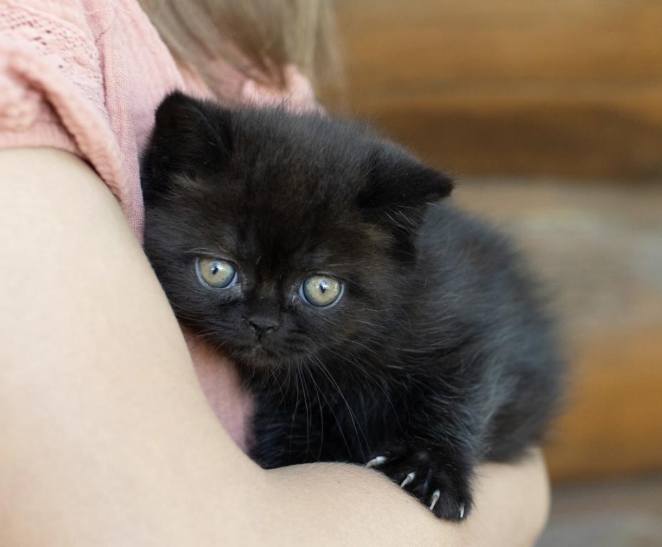 Bea Babies photo 6