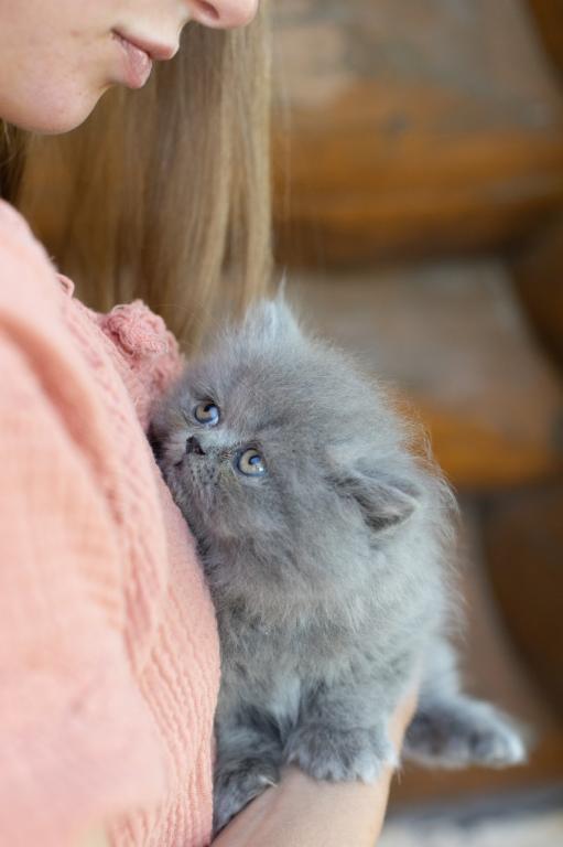 Bea Babies photo 3