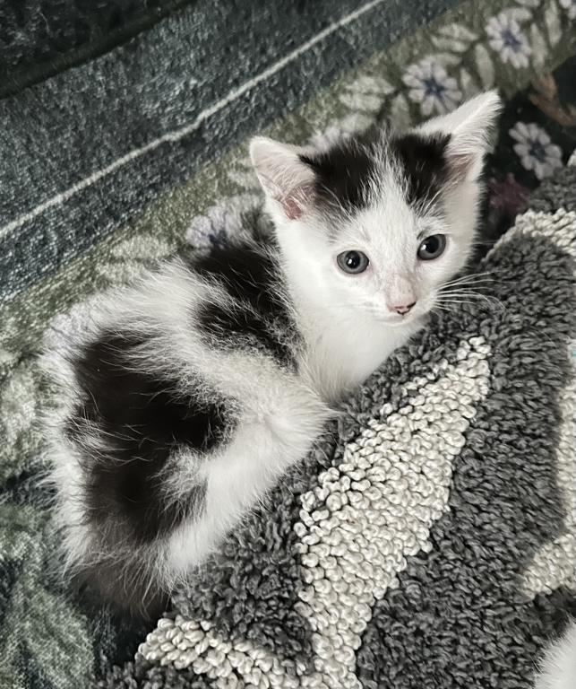 Tigger photo 1