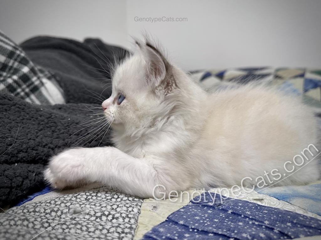 Egbert photo 2
