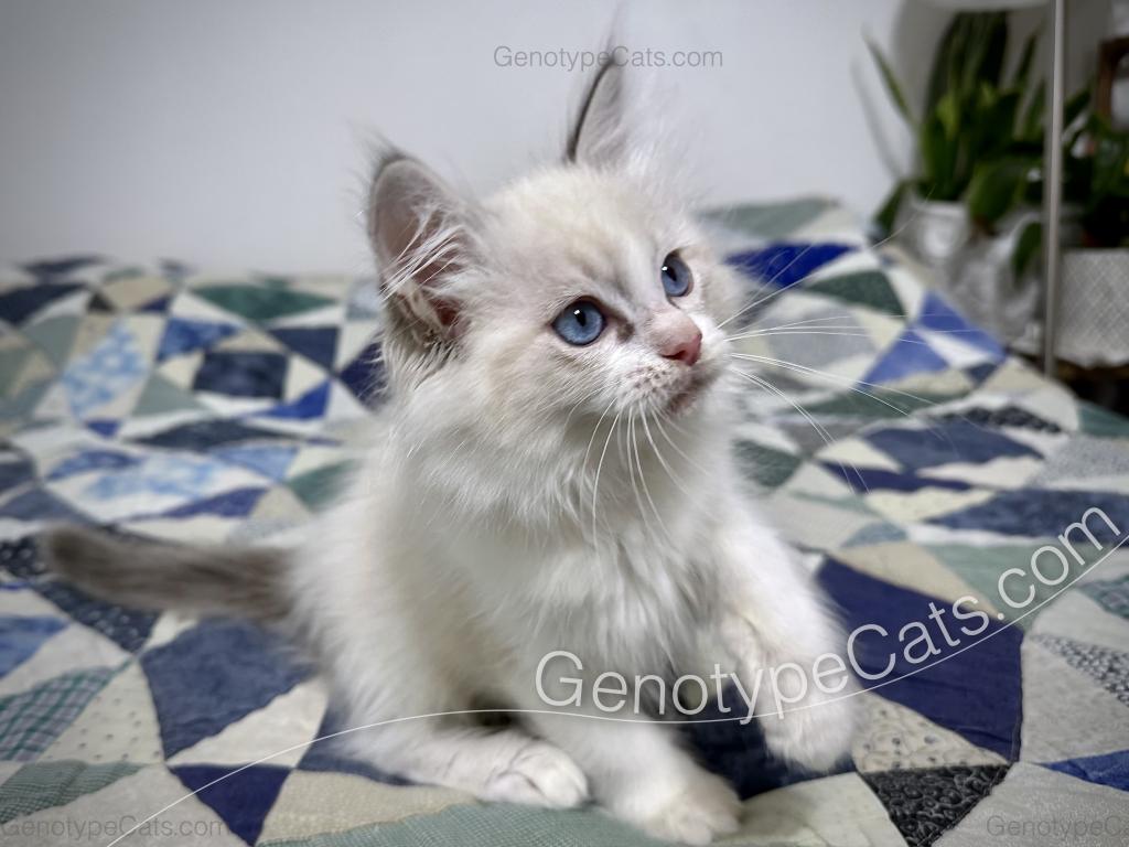 Egbert photo 28