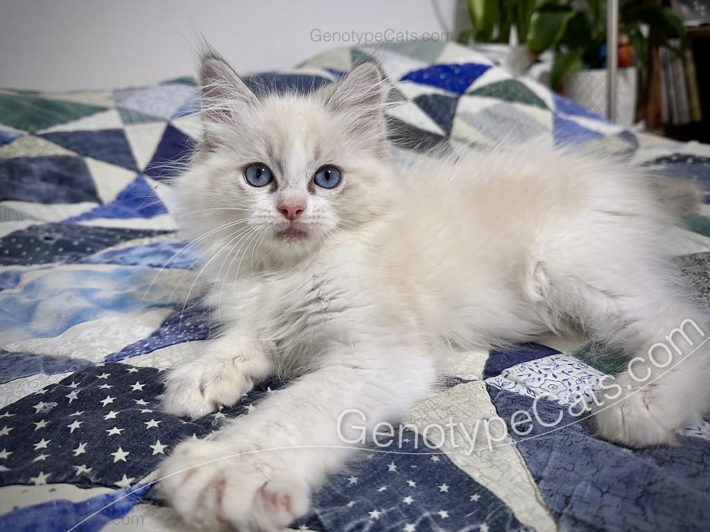 Egbert photo 24