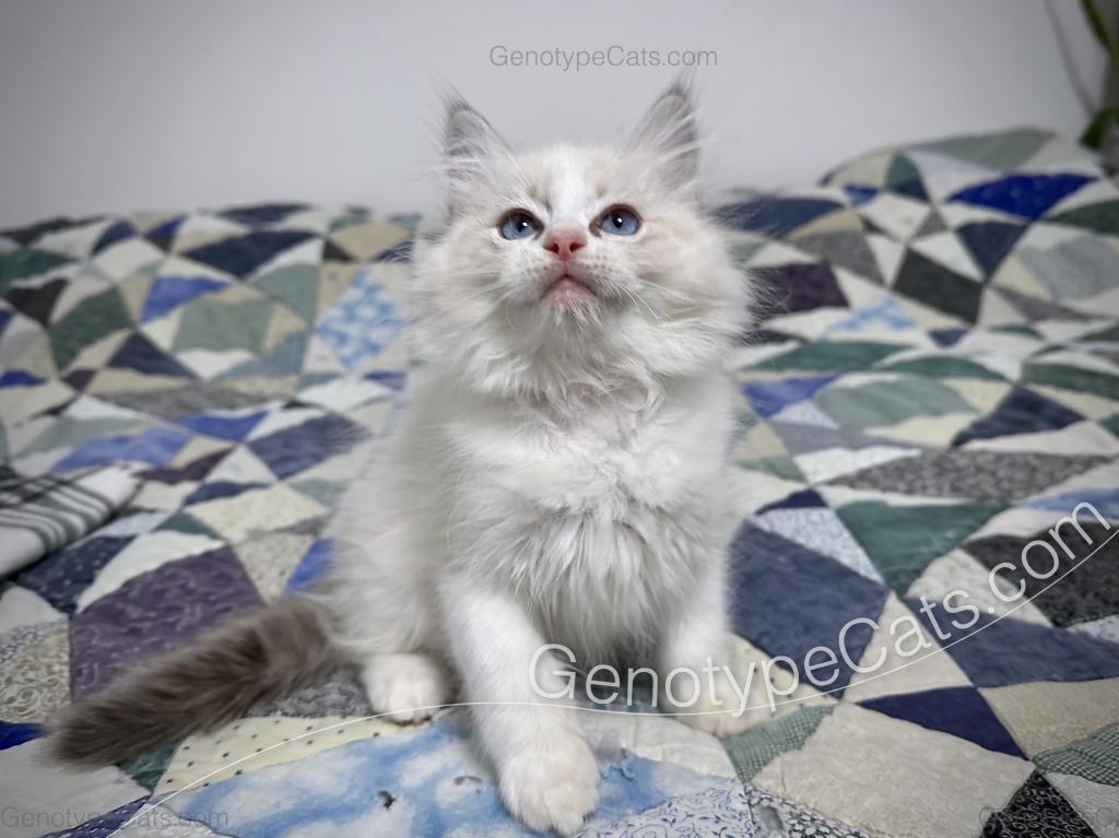 Egbert photo 41