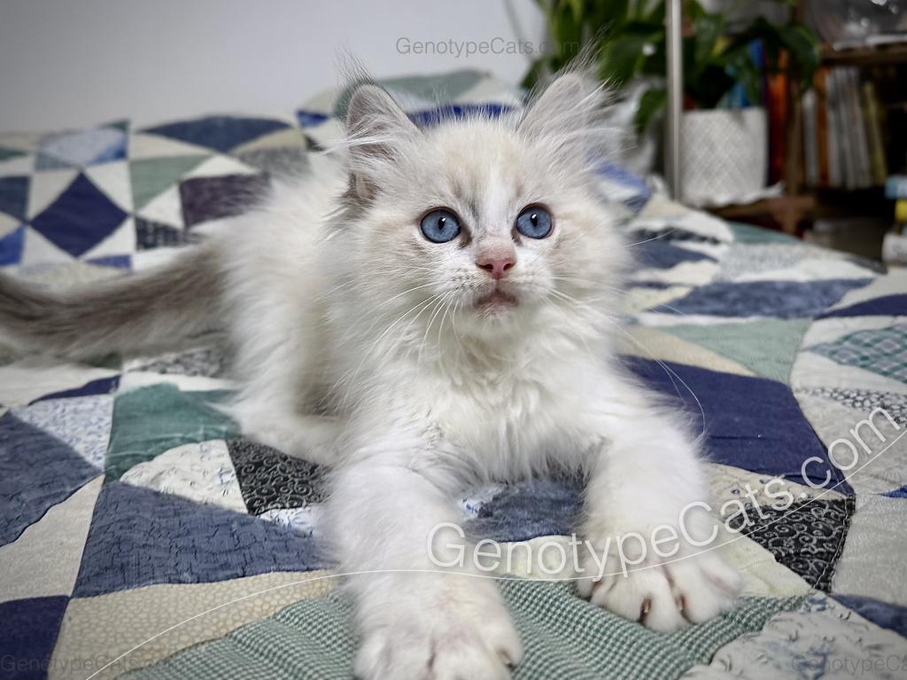 Egbert photo 13