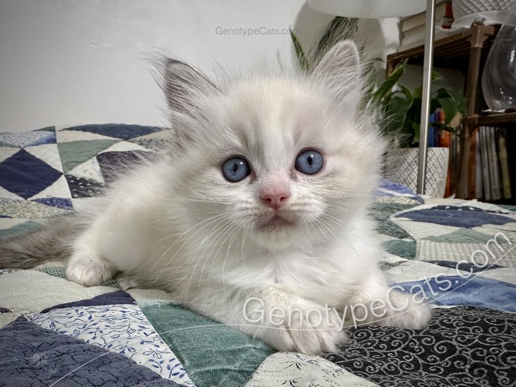 Egbert photo 13