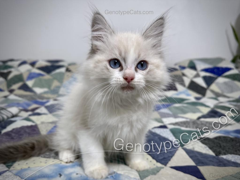 Egbert photo 44