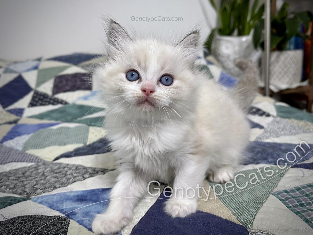 Egbert photo 23