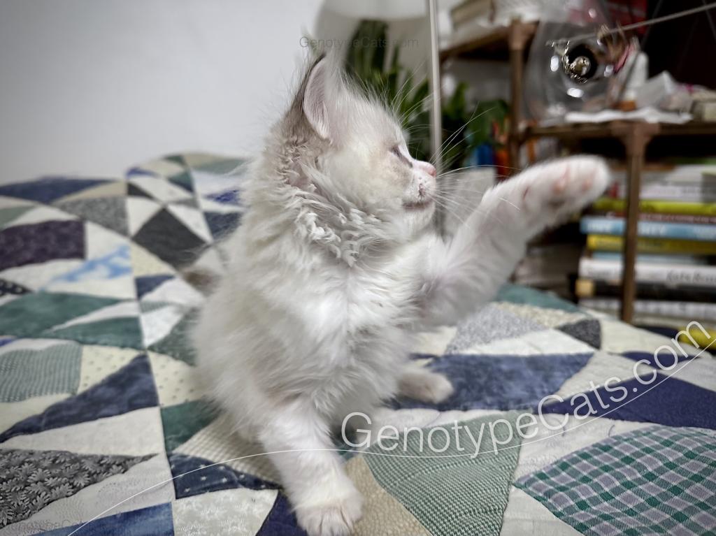 Egbert photo 22