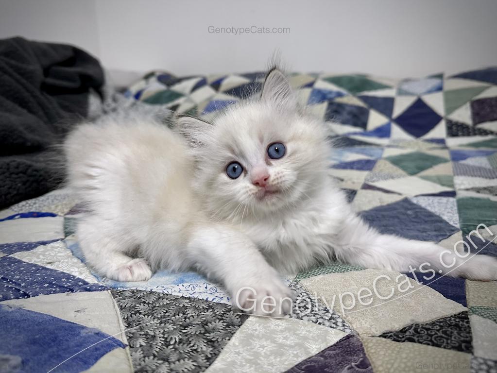 Egbert photo 7