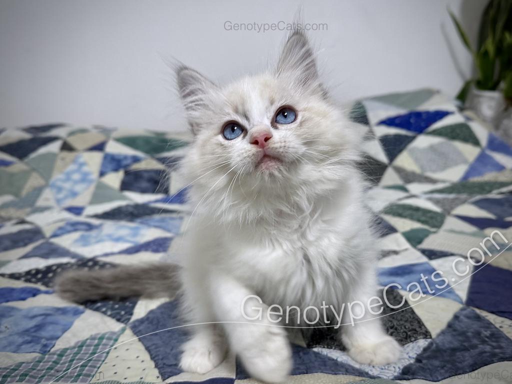 Egbert photo 27