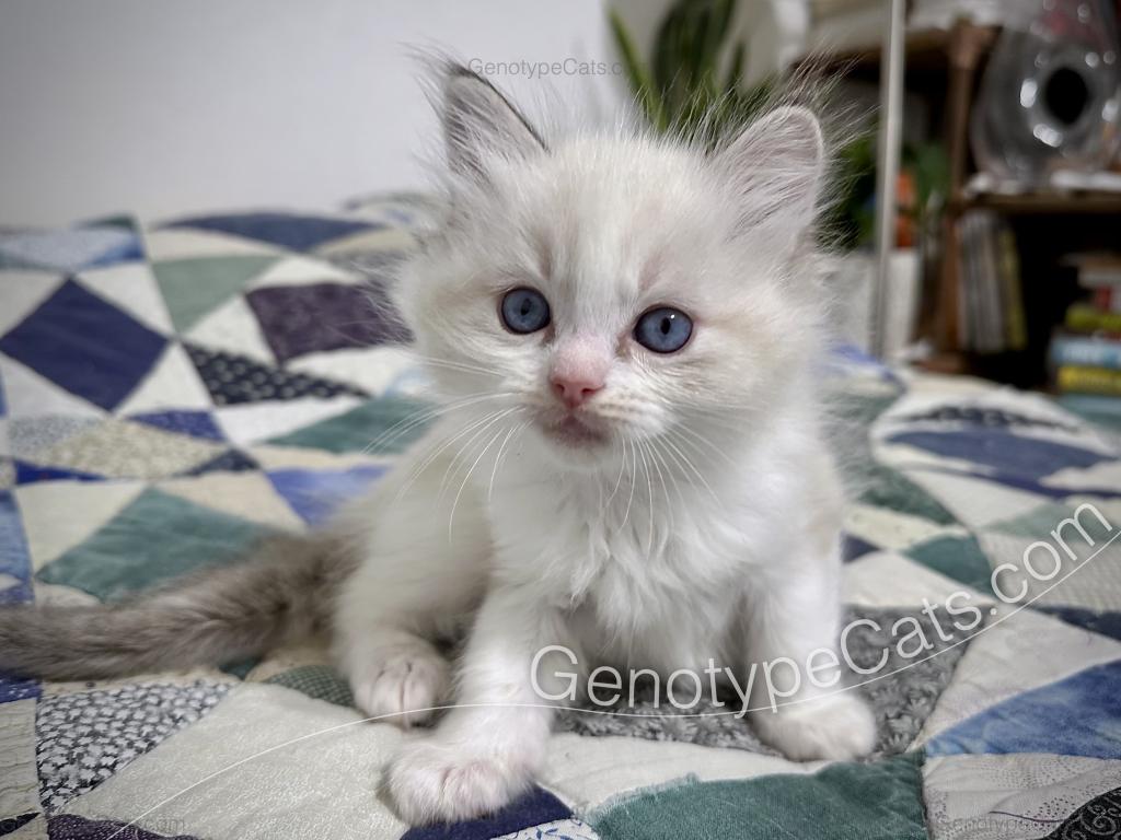 Egbert photo 17