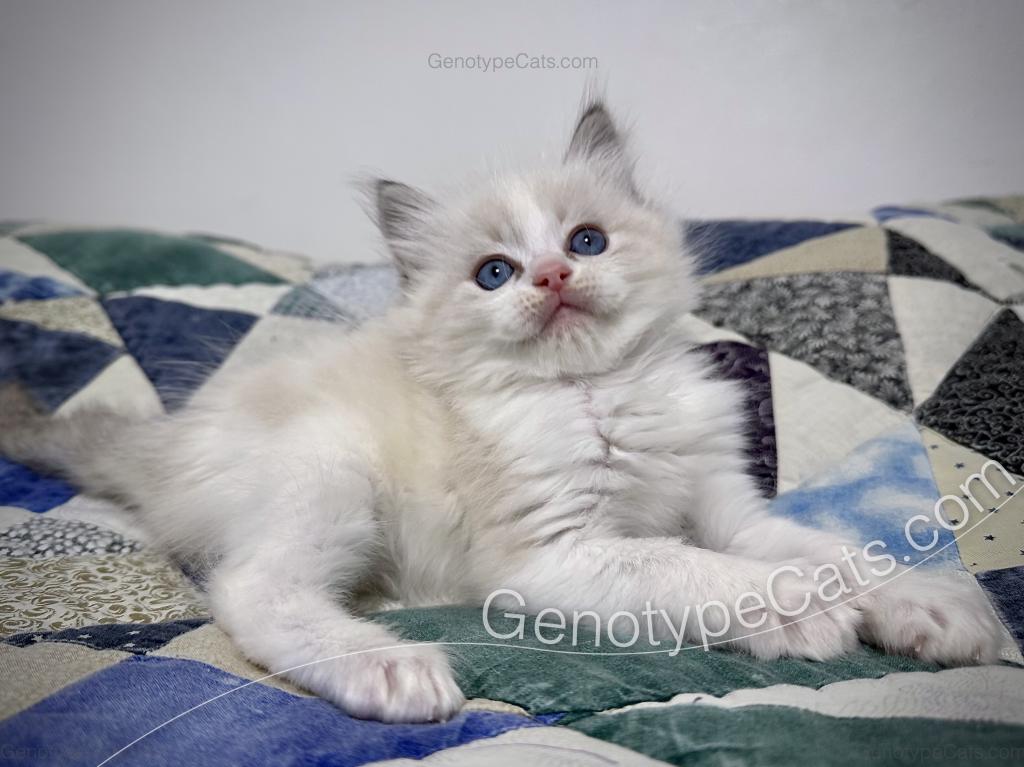 Egbert photo 9