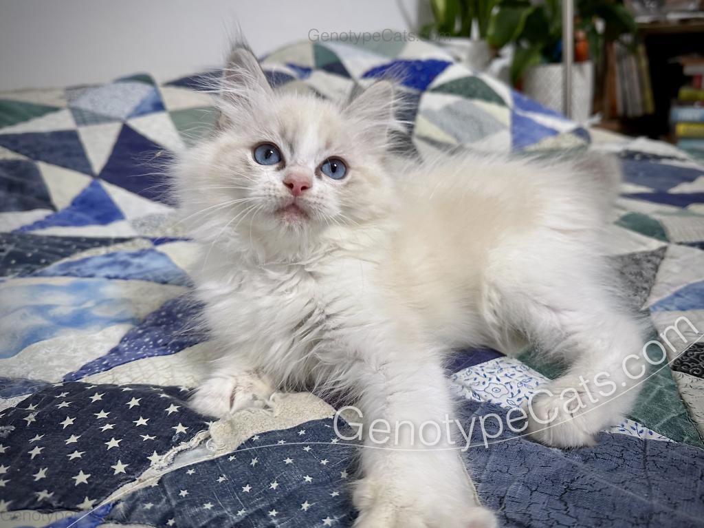Egbert photo 25
