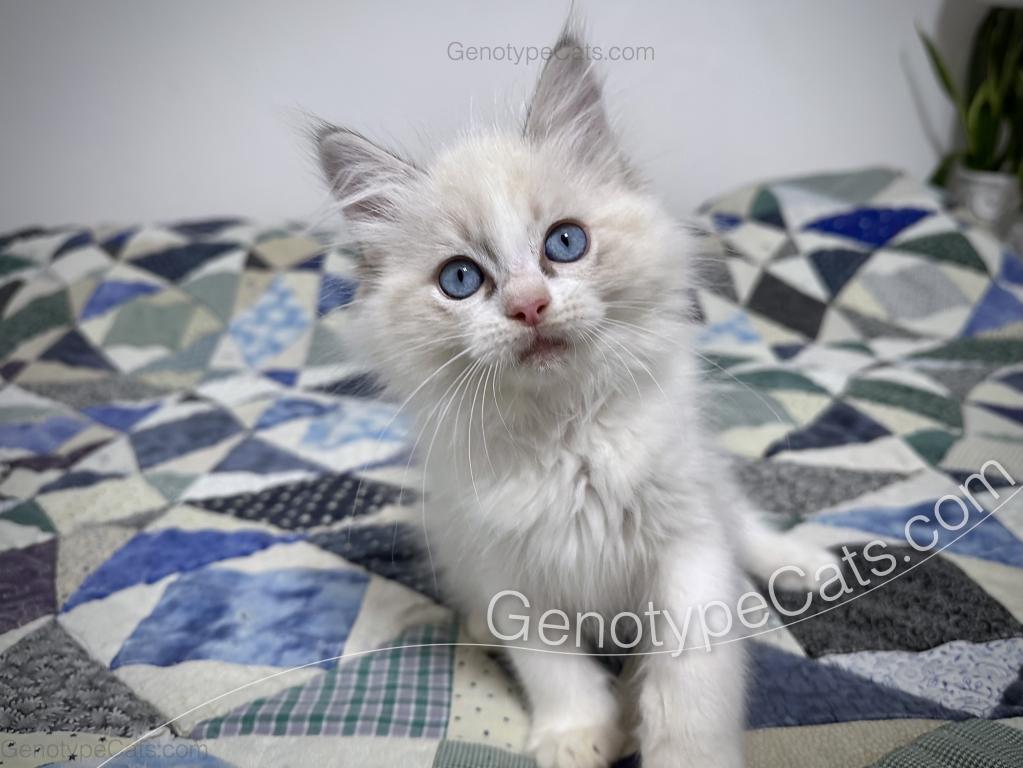 Egbert photo 9