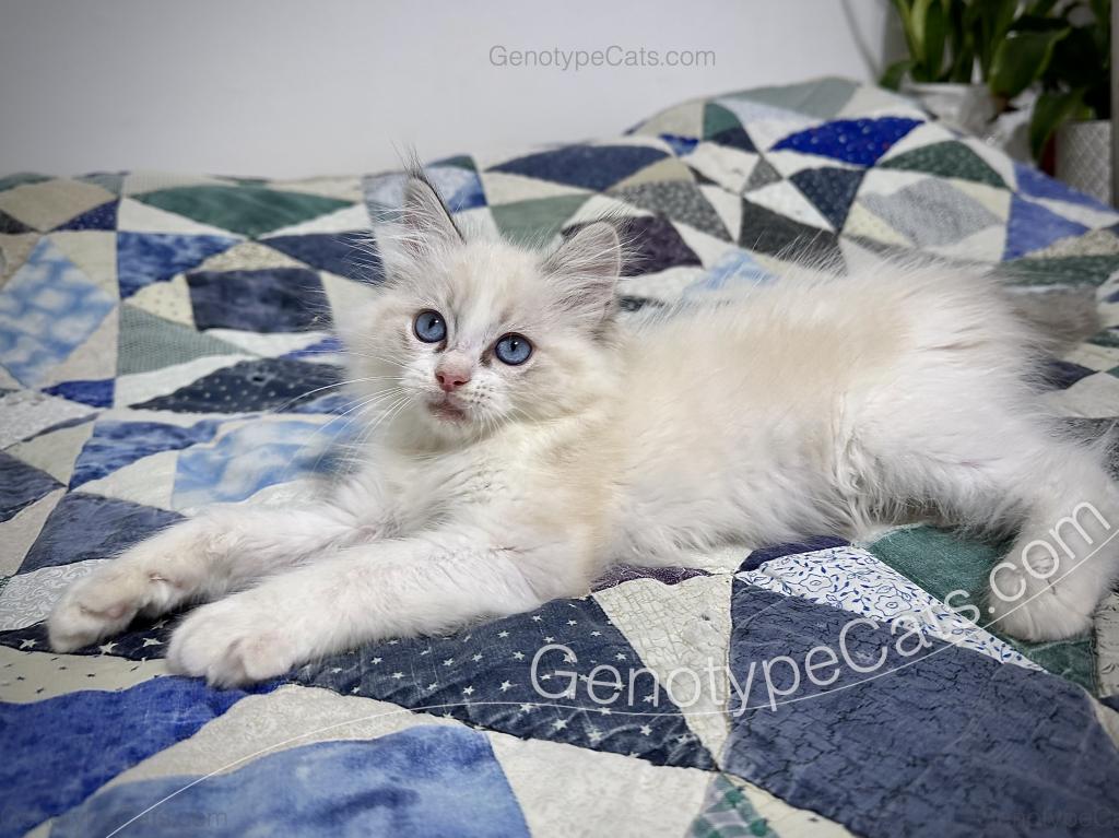 Egbert photo 22