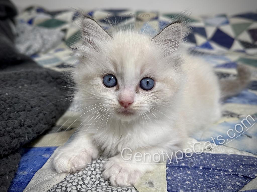 Egbert photo 4
