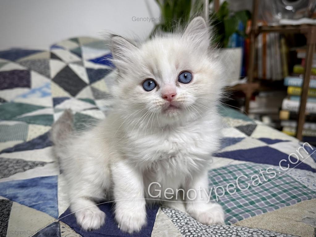 Egbert photo 24