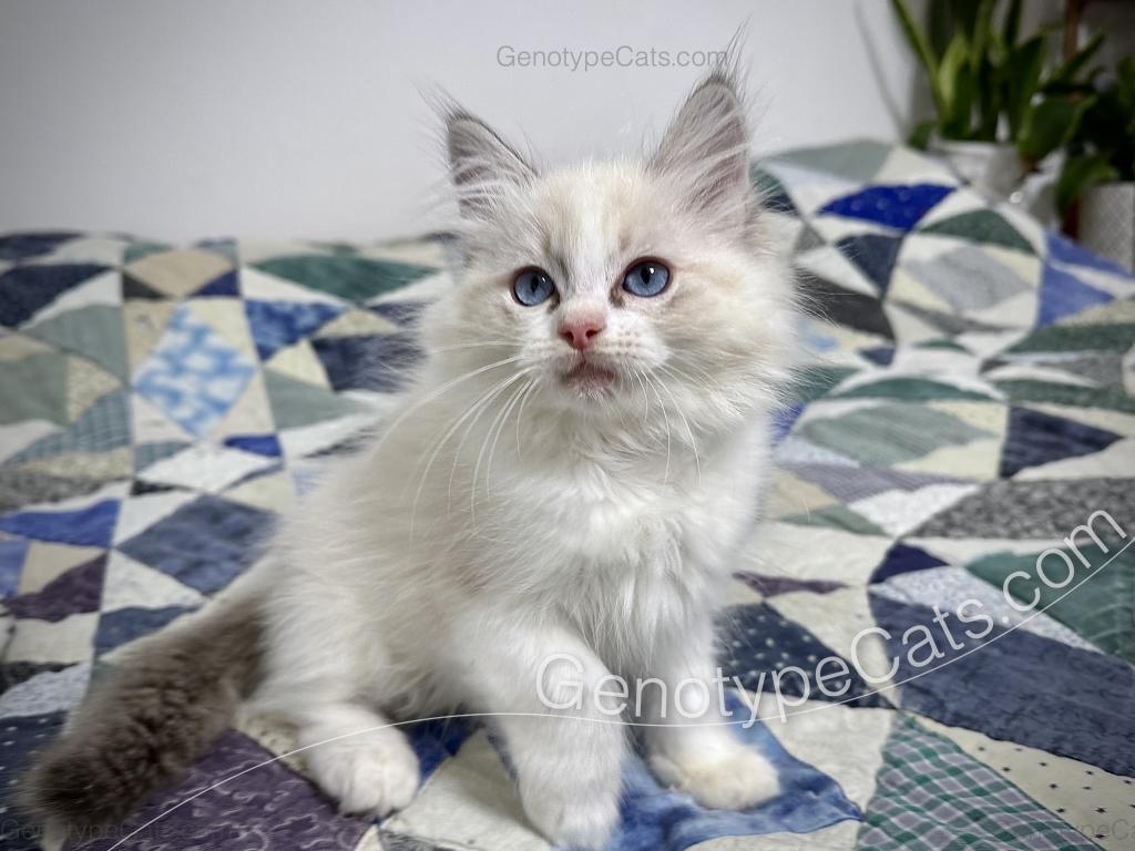 Egbert photo 33