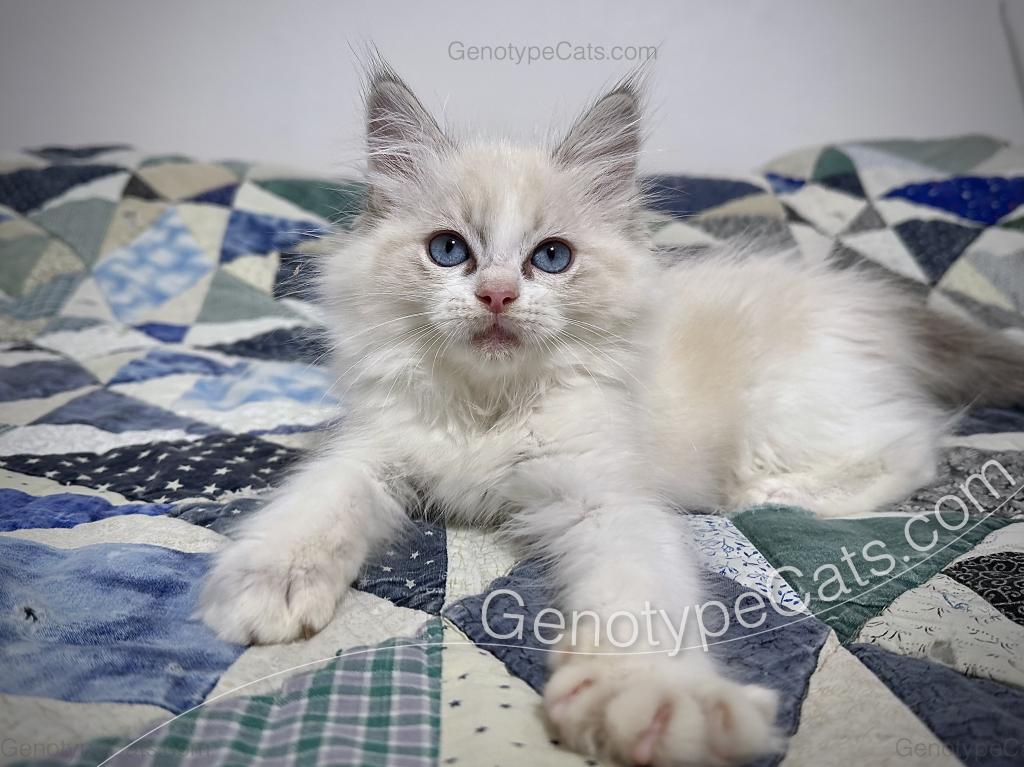 Egbert photo 20