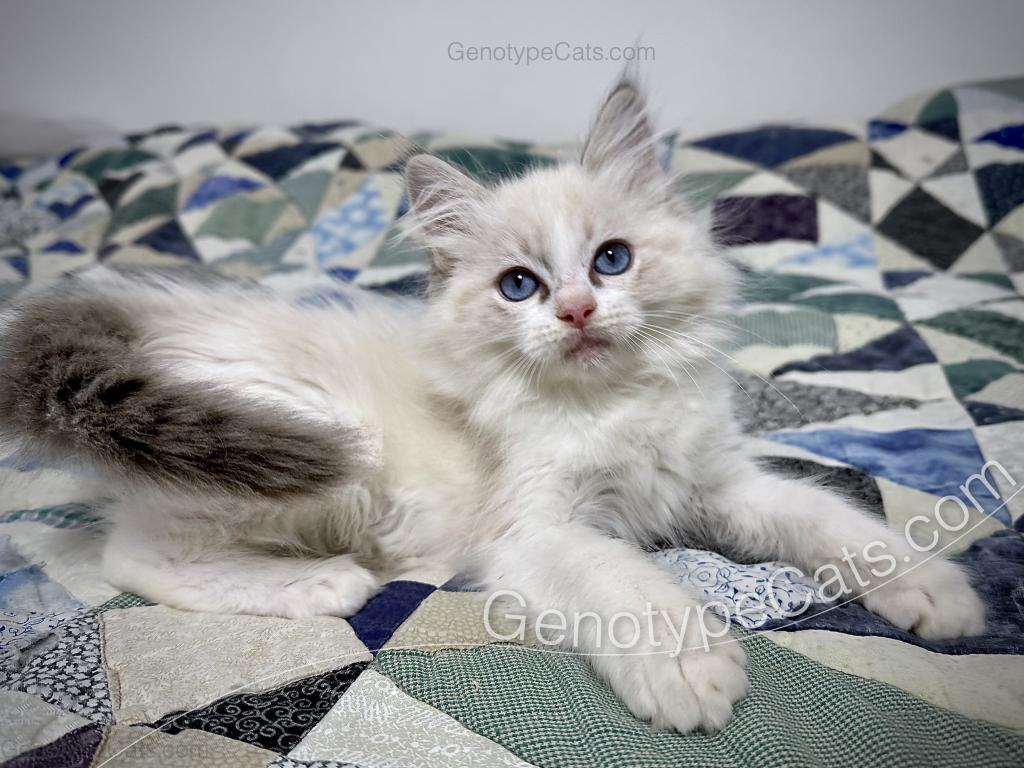 Egbert photo 42