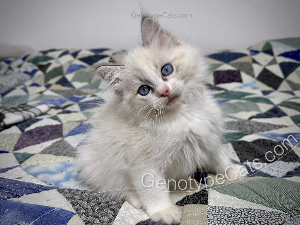 Egbert photo 6