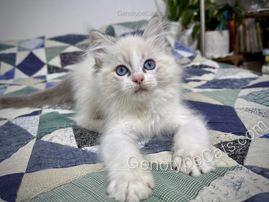 Egbert photo 12
