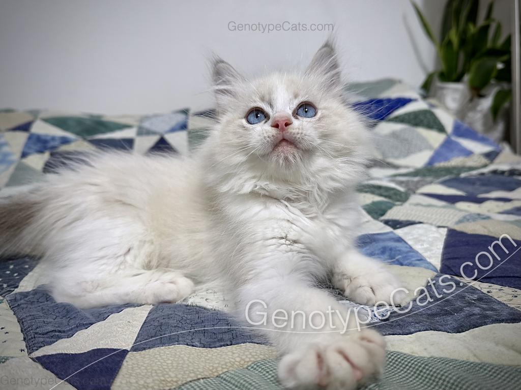 Egbert photo 5